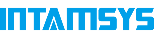 Logo INTAMSYS