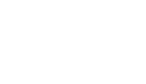 Gemvision logo