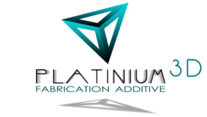 logo platinium3D