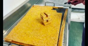 Waterjet Delicia