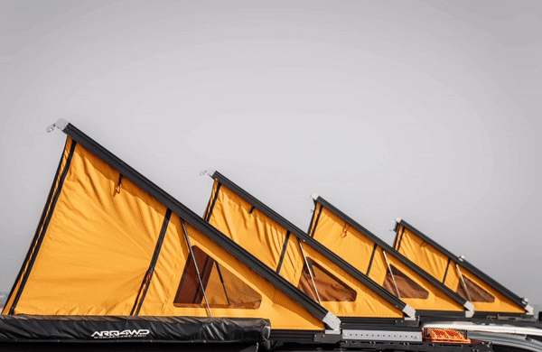 c125L-Conveyor-laser-systems-1