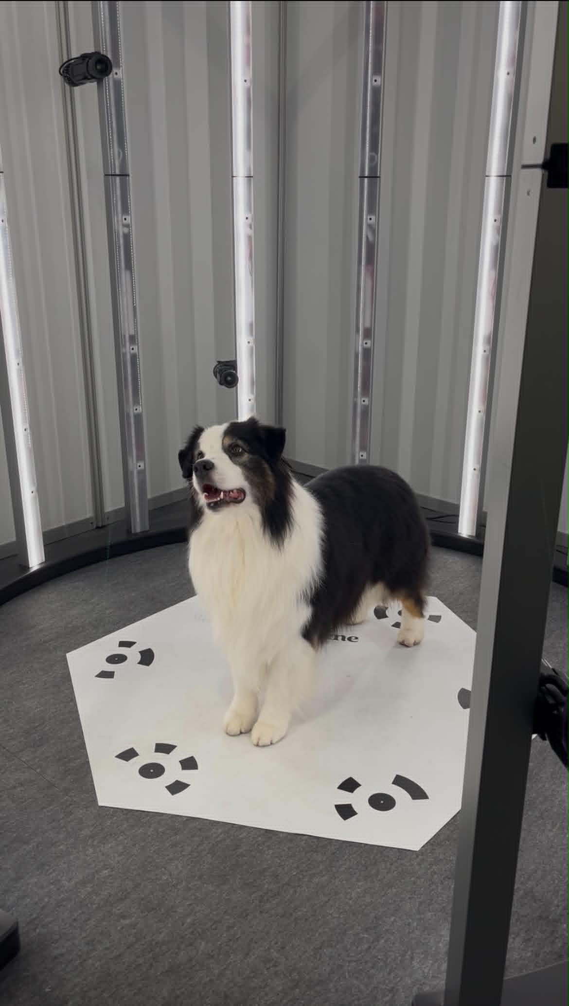 scanner 3 circular pro 1