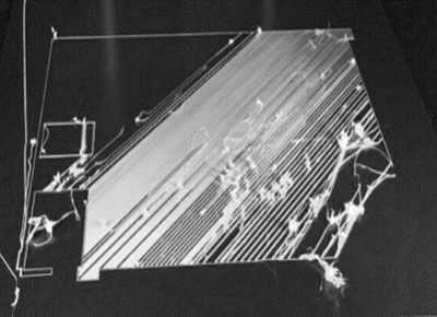 Cubicon - Poor extrusion at the start of printing