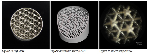 3D MICRO PRINT Case Study lattice structures