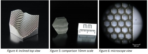 3D MICRO PRINT Case Study lattice structures