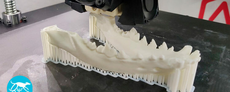 Raise 3D - 3D Printing Animal Orthopedic Aids