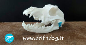 Raise 3D - 3D Printing Animal Orthopedic Aids